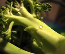 Brócolis é um dos melhores alimentos para nossa saúde. Rico em fibras, antioxidante e inúmeras vitaminas. (foto: ?ick Harris/flickr)